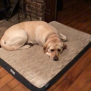 Meet your Posher, Ellen